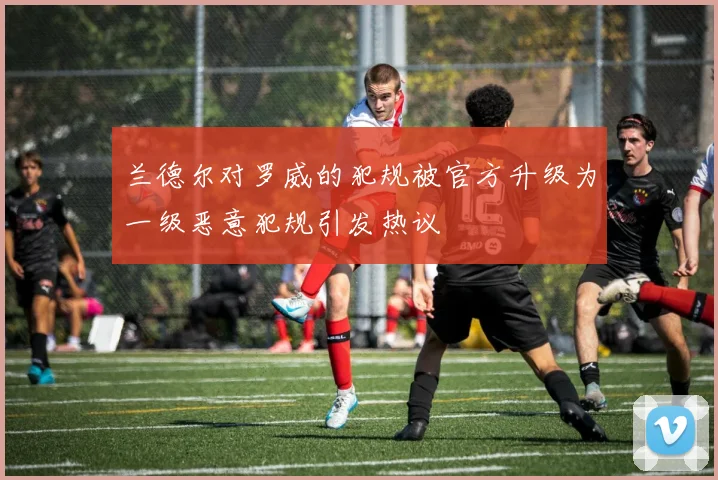兰德尔对罗威的犯规被官方升级为一级恶意犯规引发热议