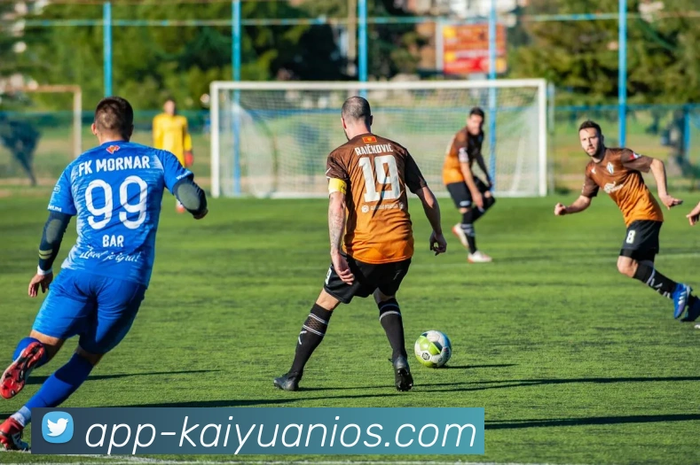 开元体育平台生态图