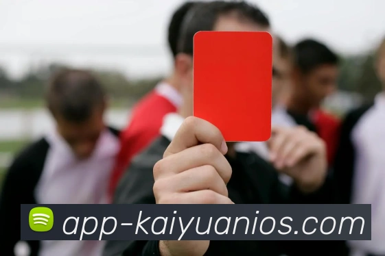 开元体育APP 封面图